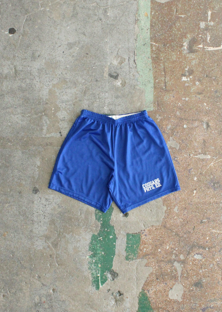Vintage Basket Ball Shorts